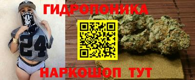 индика Кумертау