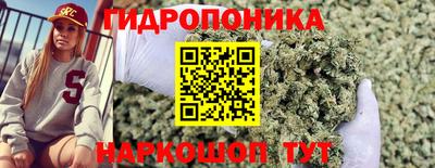 индика Кумертау