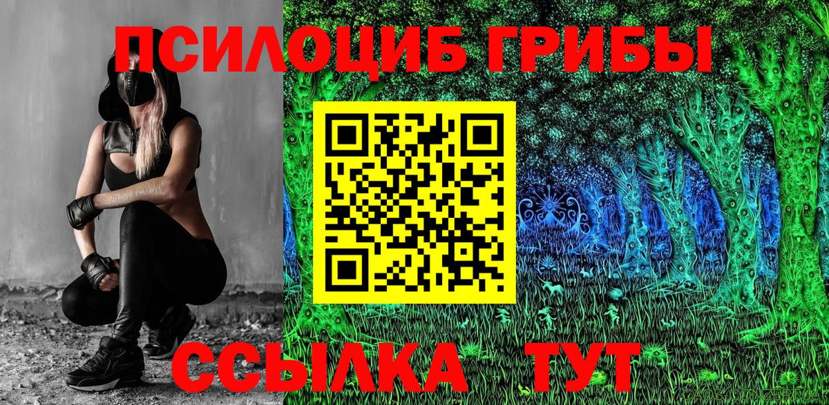 Галлюциногенные грибы прущие грибы Каменка