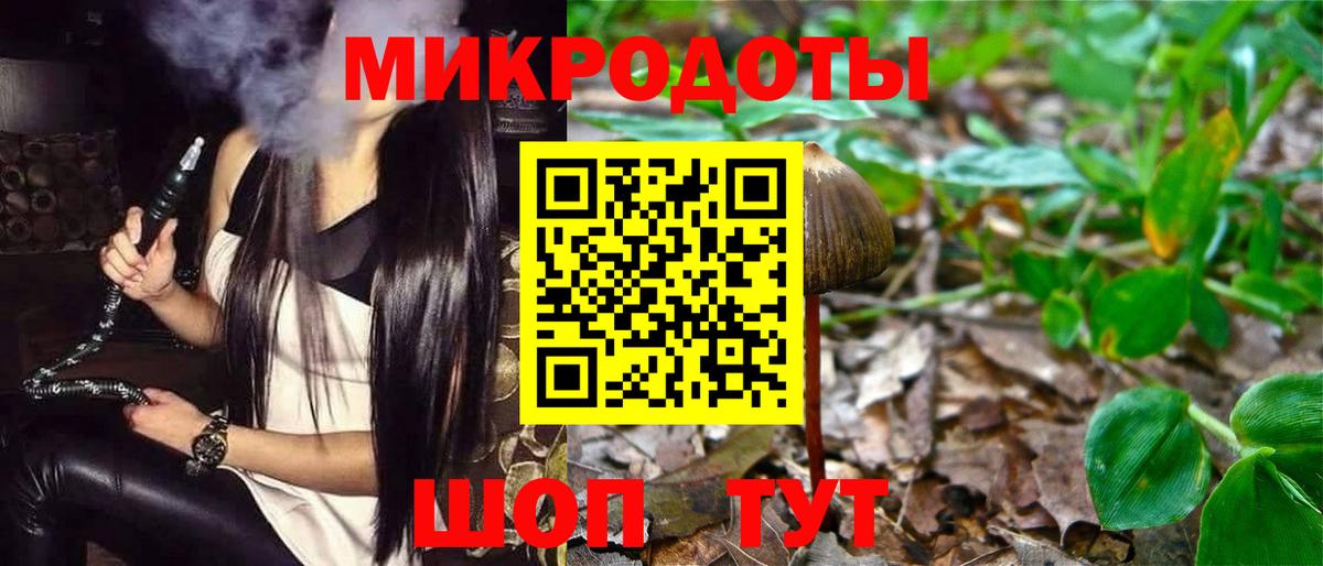 Меф Каменка
