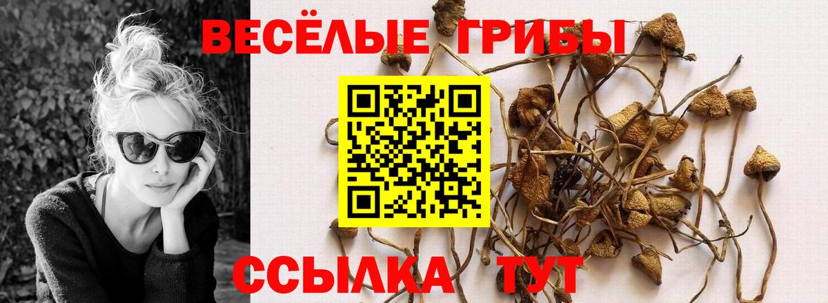 Каменка  Псилоцибиновые грибы ЛСД  Вход с VPN  Галлюциногенные грибы GOLDEN TEACHER 
